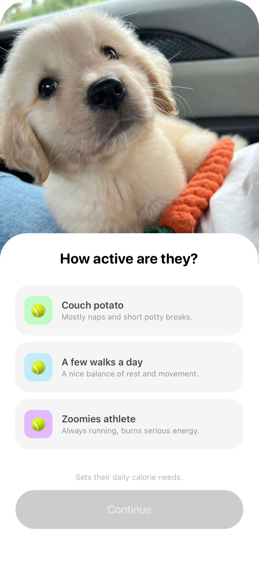 paws app screen